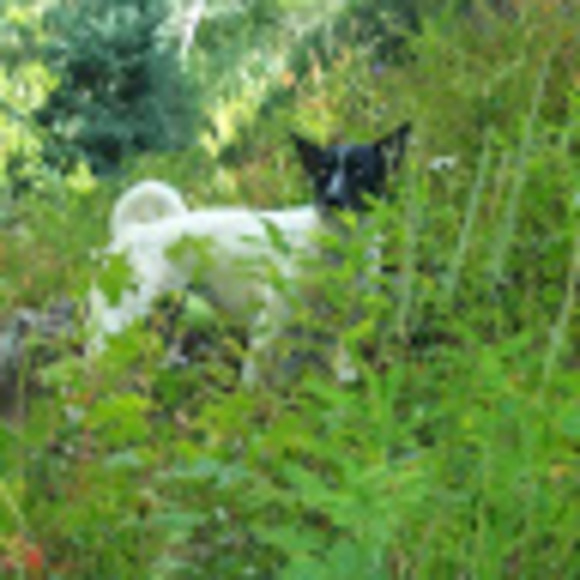 Meet your Posher, Jennifer jim - Picture 1 of 1